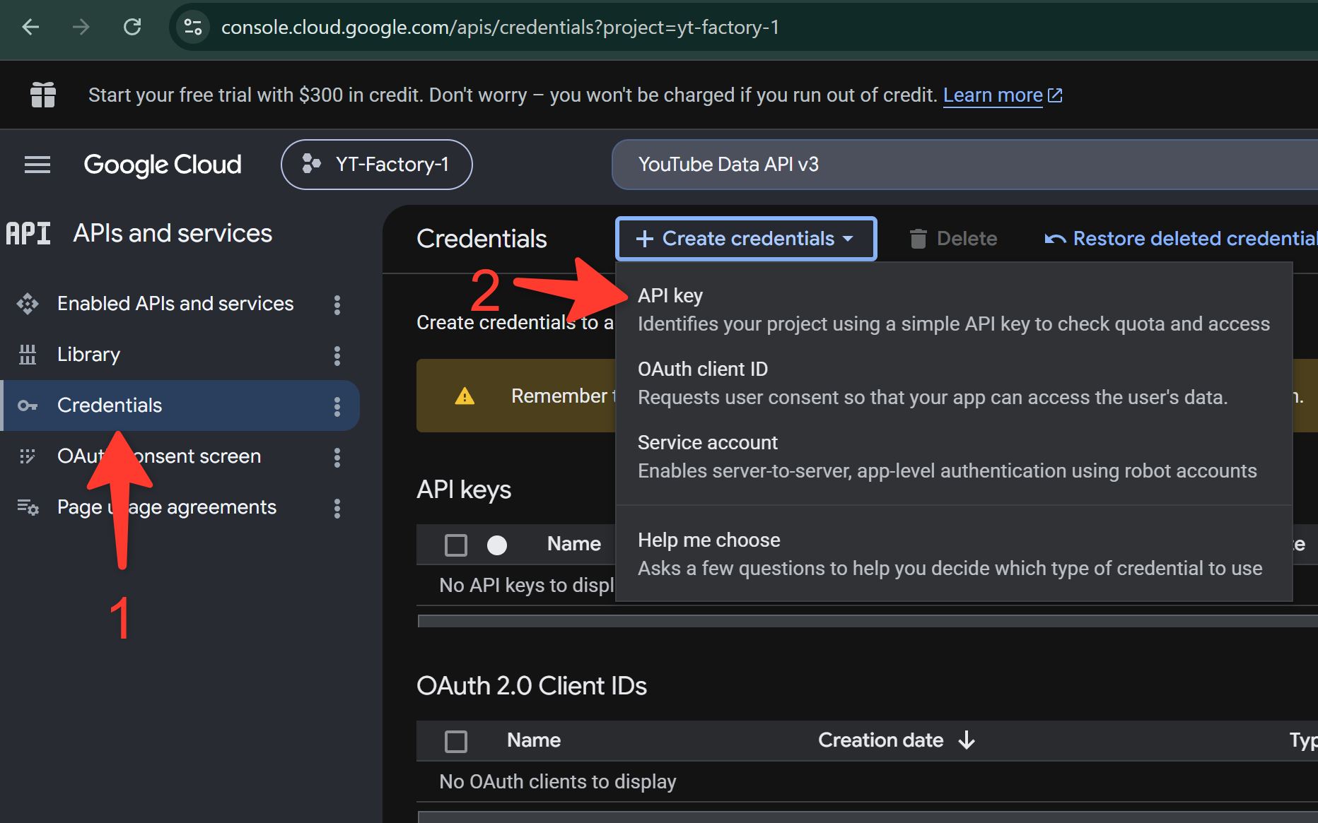 Creating a YouTube API key
